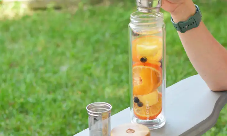 Infused water bottle, Sumber: grosche.ca